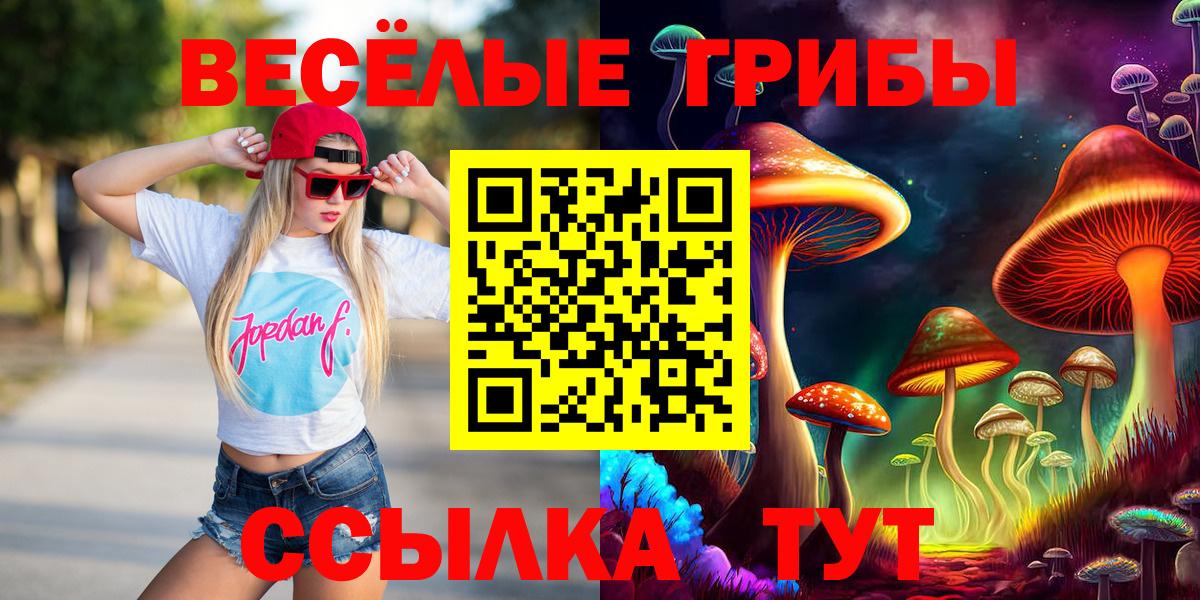 Галлюциногенные грибы GOLDEN TEACHER  Вход с VPN  Славянск-на-Кубани  Псилоцибиновые грибы Cubensis 